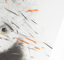 Load image into Gallery viewer, Iwan Effendi - Pose : Series No 1