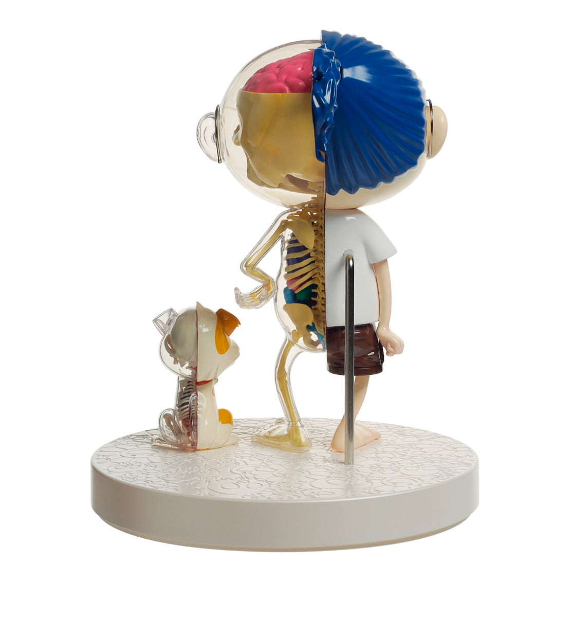 Takashi Murakami - POM & ME anatomical model – Toyol Toys