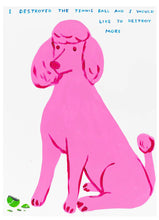 Load image into Gallery viewer, David Shrigley - I Destroyed The Tennis Ball