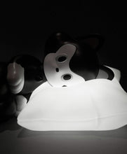 Load image into Gallery viewer, Tide - Pillow