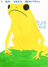 Load image into Gallery viewer, David Shrigley - I Am Very Beautiful ( Yellow Frog)