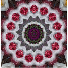 Load image into Gallery viewer, Annie Spalter - Untitled