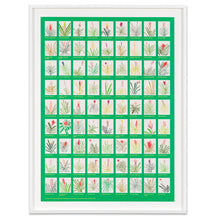 Load image into Gallery viewer, Jonas Wood - Aechmea Bromeliad