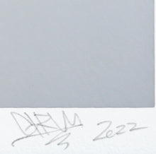 Load image into Gallery viewer, GIRUVI - Gracilis ( Botanize )