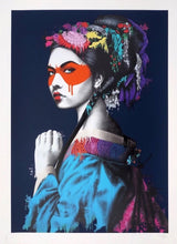 Load image into Gallery viewer, Fin Dac - Shinka