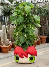 Load image into Gallery viewer, Javier Calleja - THE BIG TOP POT ( Red, Ceramic Planter)