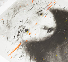 Load image into Gallery viewer, Iwan Effendi - Pose : Series No 1