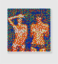 Load image into Gallery viewer, Invader - Rubik Country Life