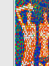 Load image into Gallery viewer, Invader - Rubik Country Life