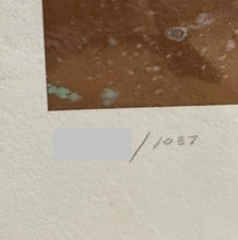 Load image into Gallery viewer, James Jean - Bibliophile