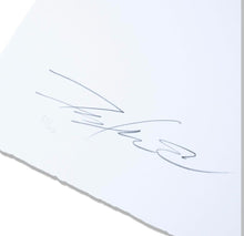 Load image into Gallery viewer, FUTURA X VERDY - UNTITLED