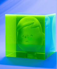 Load image into Gallery viewer, En Iwamura - Poya Poya