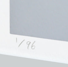 Load image into Gallery viewer, GIRUVI - Gracilis ( Botanize )