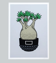 Load image into Gallery viewer, GIRUVI - Gracilis ( Botanize )