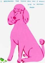 Load image into Gallery viewer, David Shrigley - I Destroyed The Tennis Ball