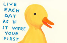 Load image into Gallery viewer, David Shrigley - Live Each Day As If It Were Your First (Duckling, Duck)