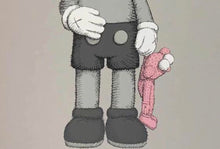 Load image into Gallery viewer, Kaws - Share (Print, grey, gray, pink)