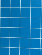 Load image into Gallery viewer, Invader - Alert ( Blue)