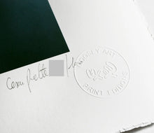 Load image into Gallery viewer, Cesar Piette - Plastic Country (Black Swan)