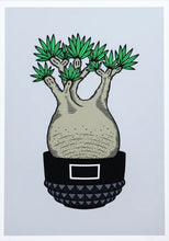 Load image into Gallery viewer, GIRUVI - Gracilis ( Botanize )