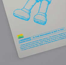 Load image into Gallery viewer, Kaws - Holiday: Hong Kong (Grey, HK)