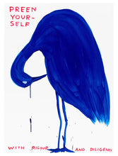 Load image into Gallery viewer, David Shrigley - Preen Yourself