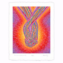Load image into Gallery viewer, Alex Grey - The Love Held Between Us