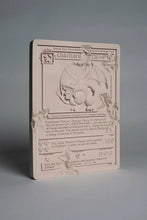 Load image into Gallery viewer, Daniel Arsham - Pink Crystalized Charizard Card