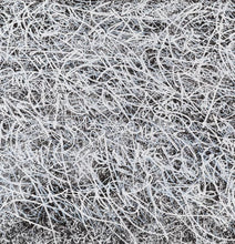Load image into Gallery viewer, Jose Parla - The Founders