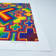 Load image into Gallery viewer, Allyson Grey - X in a Cross Field