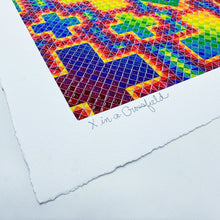 Load image into Gallery viewer, Allyson Grey - X in a Cross Field