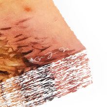 Load image into Gallery viewer, Gustavo Zermeno - Spike