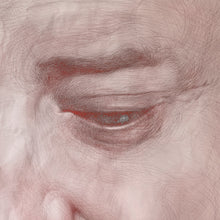 Load image into Gallery viewer, James Jean - The Whale