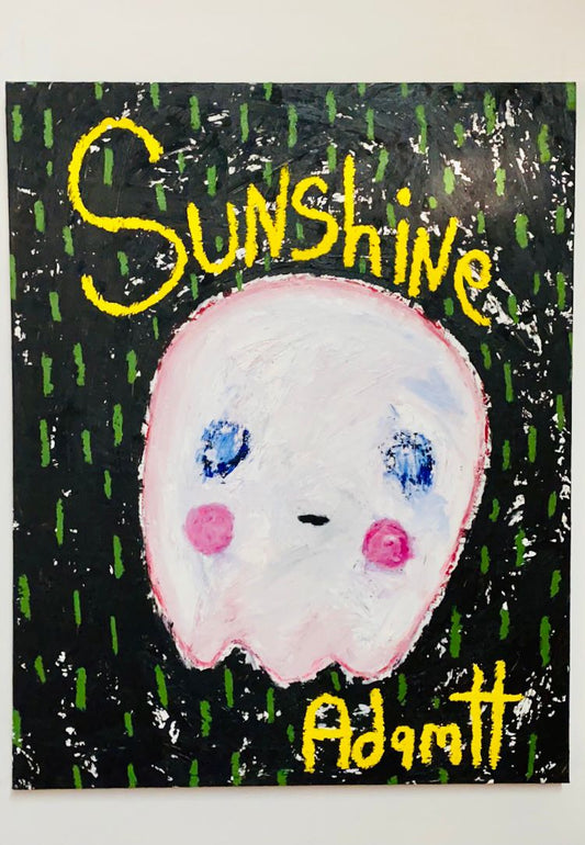 Adam Handler - Sunshine Ghost