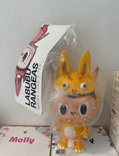 Load image into Gallery viewer, Kasing Lung - Labubu Rangeas ( Orange, The Monsters, Zimomo)

