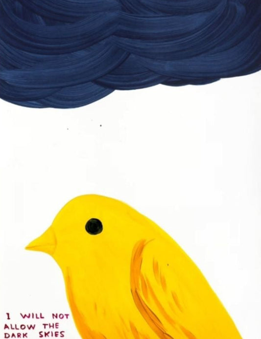 David Shrigley  - I Will Not Allow The Dark Skies To Affect Me