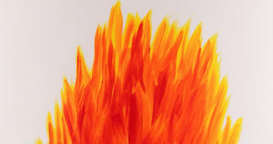 David Shrigley - I Am Currently On Fire