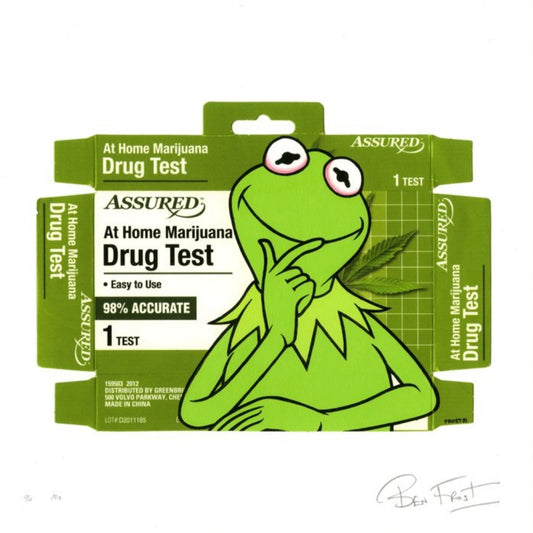 Ben Frost - IT'S NOT EASY BEING GREEN (Kermit , sesame street)