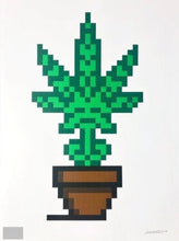 Load image into Gallery viewer, Invader - Hollyweed Brown Pot
