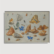 Load image into Gallery viewer, Jan van Kessel - Study of Insects, Flowers and Shells
