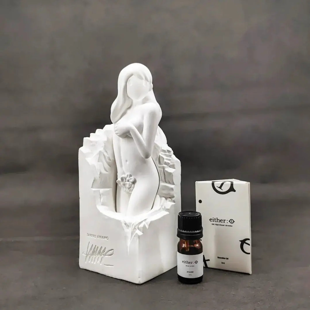 Takeru Amano 天野健 - Venus (Aroma)