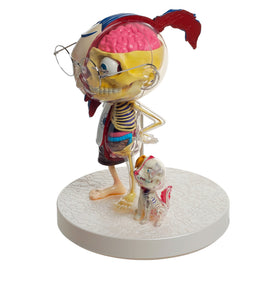 Takashi Murakami - POM & ME anatomical model