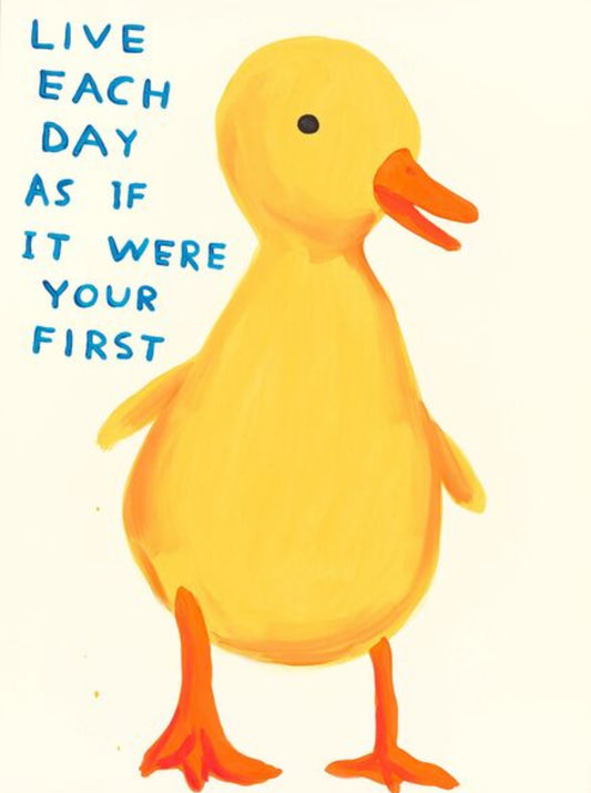 David Shrigley - Live Each Day As If It Were Your First (Duckling, Duck)