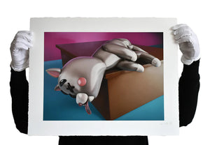 Cesar Piette - Plastic Dead Cat