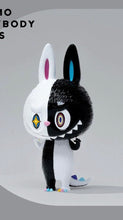 Load image into Gallery viewer, Kasing Lung - Zimomo B (Everybody Knows, White, Black, Labubu)
