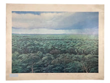 Load image into Gallery viewer, Tomás Sánchez - Untitled
