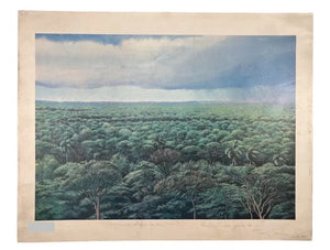 Tomás Sánchez - Untitled