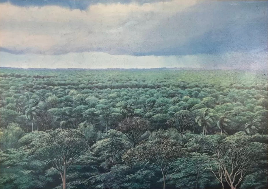 Tomás Sánchez - Untitled