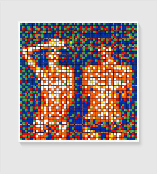 Invader - Rubik Country Life