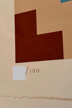 Load image into Gallery viewer, Invader - CAMO M-3C-M1 ( Blue, Brown, camouflage)
